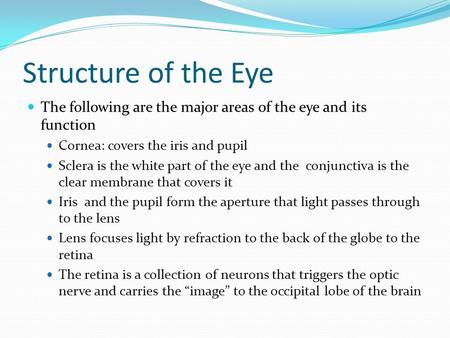 Structure of the Eye The following are the major areas of the eye and its function Cornea: covers the iris and pupil Sclera is the white part of the eye.