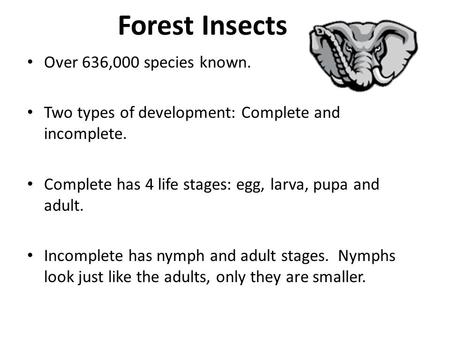 Forest Insects Over 636,000 species known. Two types of development: Complete and incomplete. Complete has 4 life stages: egg, larva, pupa and adult. Incomplete.
