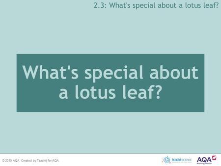 © 2015 AQA. Created by Teachit for AQA. What's special about a lotus leaf? 2.3: What's special about a lotus leaf?