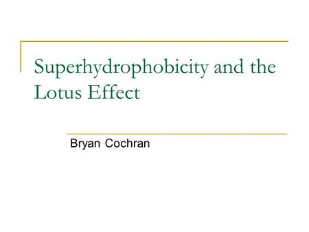 Superhydrophobicity and the Lotus Effect