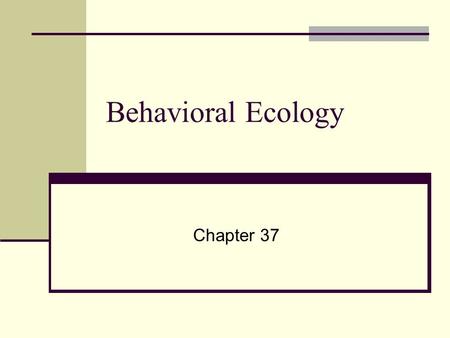 Behavioral Ecology Chapter 37. Nature vs. Nurture Behavior To what degree do our genes (nature) and environmental influences (nurture) affect behavior?