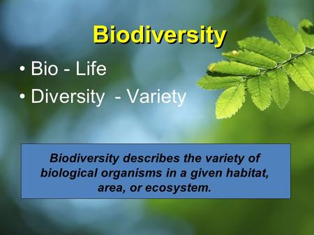 Biodiversity Bio - Life Diversity - Variety Biodiversity describes the variety of biological organisms in a given habitat, area, or ecosystem.