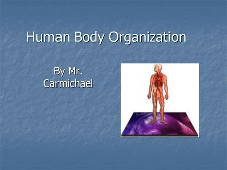 Human Body Organization By Mr. Carmichael. Levels of Organization The human body has several levels of organization: The human body has several levels.