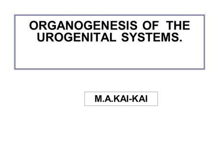 ORGANOGENESIS OF THE UROGENITAL SYSTEMS.