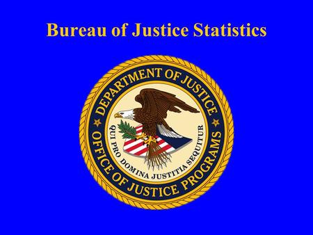 Bureau of Justice Statistics. Conducting Victimization and Community Safety Surveys: Using Web-based Technology U.N. Meeting on Crime Statistics Geneva.