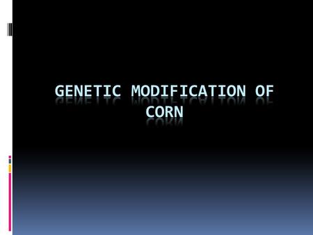 Introduction The Genetic Modification of Corn is a very common method of genetic modification, it is done globally, and has a lot of Research and Evidence.