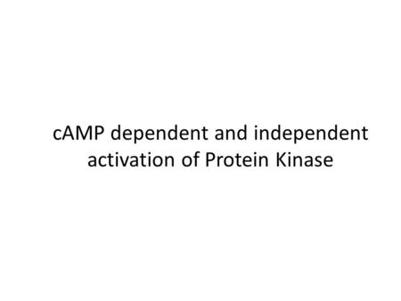 cAMP dependent and independent activation of Protein Kinase