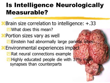 Is Intelligence Neurologically Measurable?