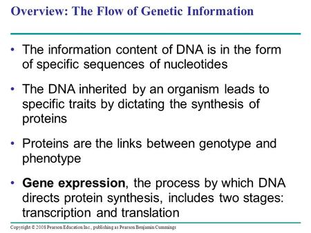 Overview: The Flow of Genetic Information