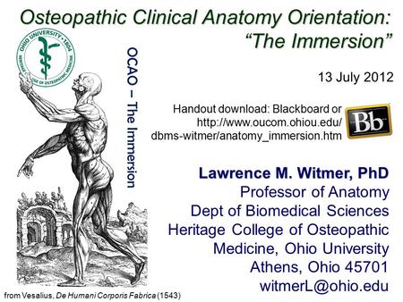 Osteopathic Clinical Anatomy Orientation: “The Immersion” Lawrence M. Witmer, PhD Professor of Anatomy Dept of Biomedical Sciences Heritage College of.