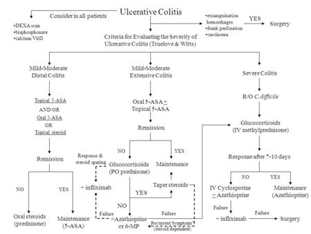 Ulcerative Colitis Mild-Moderate Distal Colitis Mild-Moderate Extensive Colitis Severe Colitis Criteria for Evaluating the Severity of Ulcerative Colitis.