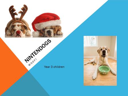 NINTENDOGS WOOF! Year 3 children. CAN I WRITE A DESCRIPTION OF MY PET? Using paragraphs and correct punctuation, adjectives, connectives Children to create.