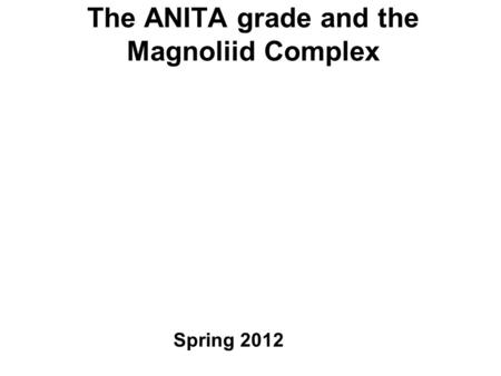 The ANITA grade and the Magnoliid Complex Spring 2012.