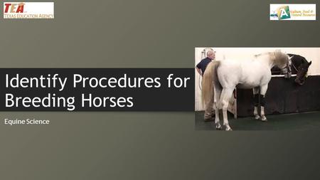 Identify Procedures for Breeding Horses