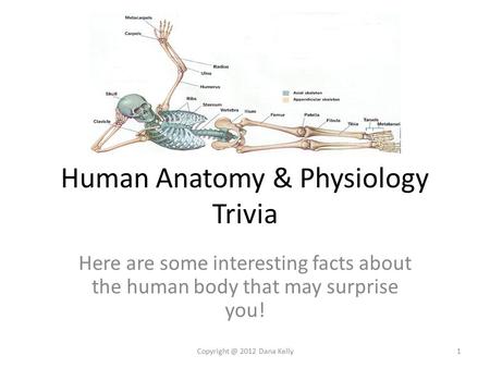 Human Anatomy & Physiology Trivia Here are some interesting facts about the human body that may surprise you! 2012 Dana Kelly1.