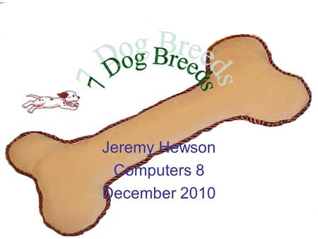 Jeremy Hewson Computers 8 December 2010 Contents 1. Chihuahua 2. Golden Retriever 3. Siberian Husky 4. Dalmatian 5. German Shepherd 6. Poodle 7. Rott.