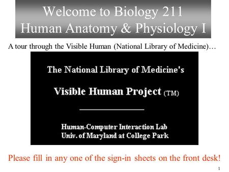 Welcome to Biology 211 Human Anatomy & Physiology I