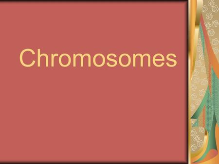 Chromosomes.