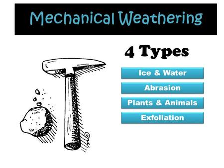 Mechanical Weathering 4 Types Ice & Water Abrasion Plants & Animals Exfoliation.