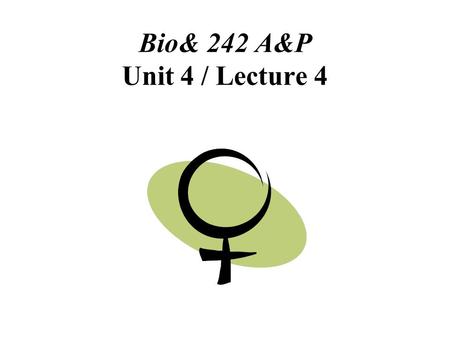 Bio& 242 A&P Unit 4 / Lecture 4. Anatomy of the Female Reproductive System.