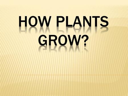 TWO PHASES IN THE LIFE CYCLE OF A PLANT 1. VEGETATIVE STAGE - includes the growth of roots, stem and leaves. 2. REPRODUCTIVE STAGE -the development of.
