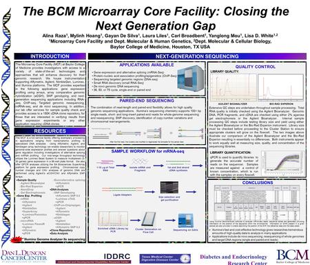 Diabetes and Endocrinology Research Center The BCM Microarray Core Facility: Closing the Next Generation Gap Alina Raza 1, Mylinh Hoang 1, Gayan De Silva.