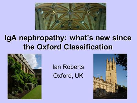 IgA nephropathy: what’s new since the Oxford Classification