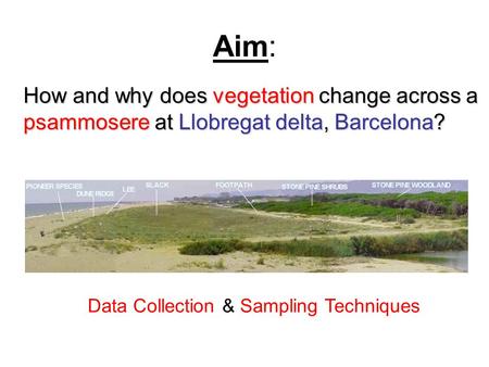 Aim: How and why does vegetation change across a psammosere at Llobregat delta, Barcelona? Data Collection & Sampling Techniques.