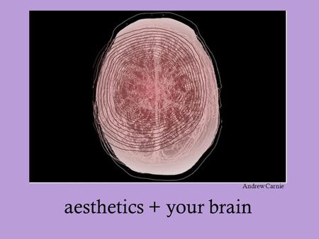 Aesthetics + your brain Andrew Carnie. key terms neuroaesthetics: A relatively new branch of neuroscience. The exploration of the neural processes underlying.