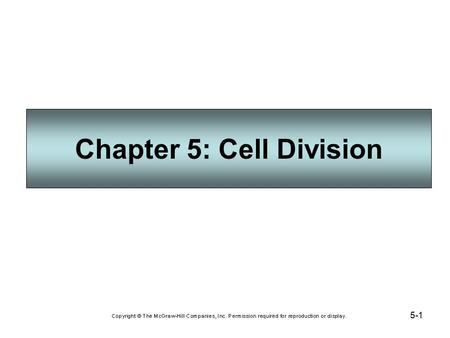 5-1 Chapter 5: Cell Division. 5-2 Cell Increase and Decrease Cell division increases the number of somatic (body) cells, and consists of: Mitosis (division.