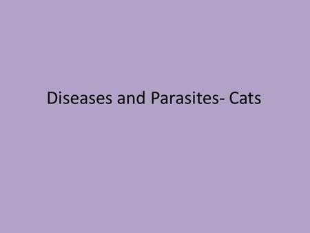 Diseases and Parasites- Cats