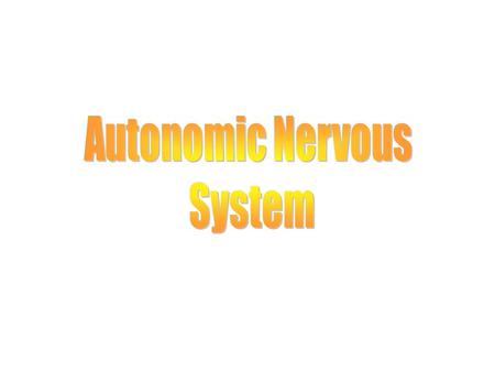 Autonomic Nervous System Neural Control of Involuntary Effectors ANS: n Innervates organs not usually under voluntary control. n Effectors include cardiac.