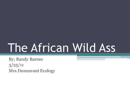 The African Wild Ass By; Randy Barnes 3/25/11 Mrs.Dunnavant Ecology.