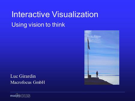 Interactive Visualization Using vision to think Luc Girardin Macrofocus GmbH.