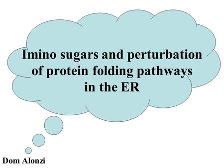 Imino sugars and perturbation of protein folding pathways in the ER Dom Alonzi.
