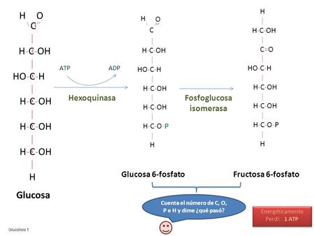 O C˝ | H-C-OH HO-C-H H Glucosa Fructosa 6-fosfato Glucosa 6-fosfato