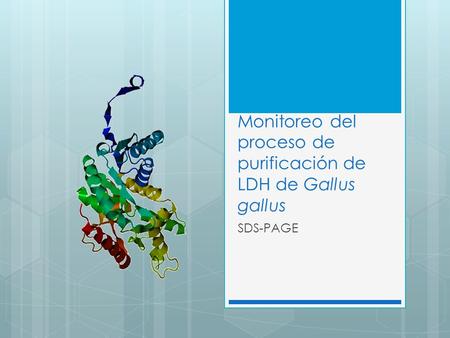 Monitoreo del proceso de purificación de LDH de Gallus gallus