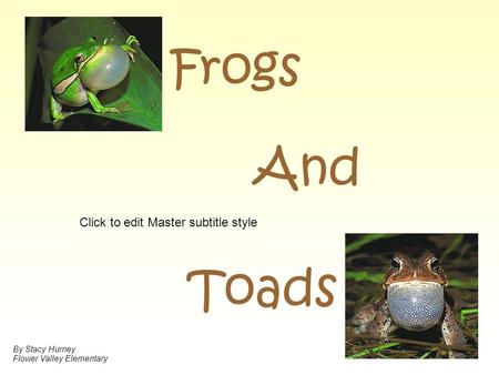 Click to edit Master subtitle style Frogs Toads And By Stacy Hurney Flower Valley Elementary.