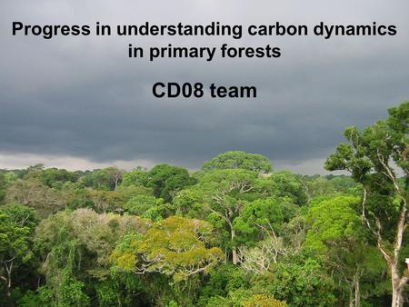 Progress in understanding carbon dynamics in primary forests CD08 team.
