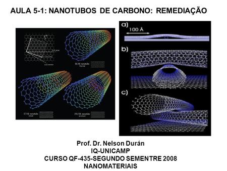 Prof. Dr. Nelson Durán IQ-UNICAMP CURSO QF-435-SEGUNDO SEMENTRE 2008 NANOMATERIAIS AULA 5-1: NANOTUBOS DE CARBONO: REMEDIAÇÃO.