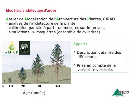 Modèle d'architecture d'arbre: