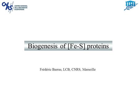 Biogenesis of [Fe-S] proteins