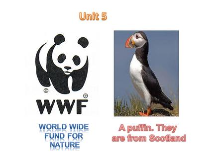 Unit 5 World wide fund for nature A puffin. They are from Scotland.