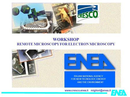 ITALIAN NATIONAL AGENCY FOR NEW TECNOLOGY, ENERGY AND THE ENVIRONMENT WORKSHOP REMOTE MICROSCOPY FOR ELECTRON MICROSCOPY.
