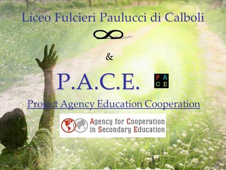 & P.A.C.E. P.A.C.E. Project Agency Education Cooperation Liceo Fulcieri Paulucci di Calboli.