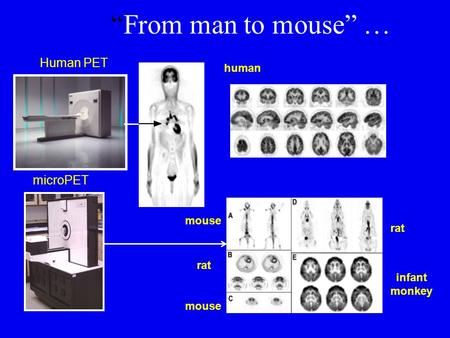“From man to mouse” … Human PET microPET human mouse rat rat infant