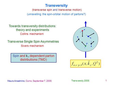 Mauro Anselmino, Como, September 7, 2005 Transversity 2005 1 Transversity (transverse spin and transverse motion) Towards transversity distributions: theory.