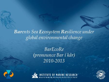 Bar ents Sea Ec osystem Re silience under global environmental change BarEcoRe (pronounce Bar í kår) 2010-2013.