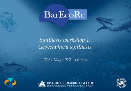 Synthesis workshop 1: Geographical synthesis 22-24 May 2012 - Tromsø