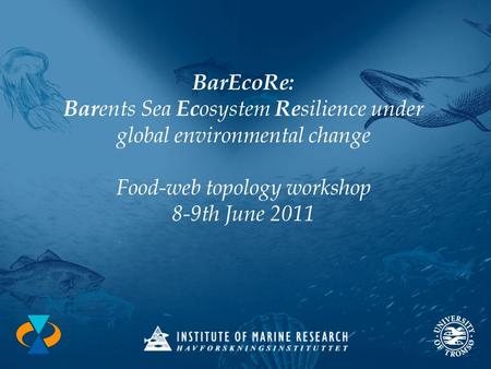 BarEcoRe: Bar ents Sea Ec osystem Re silience under global environmental change Food-web topology workshop 8-9th June 2011.
